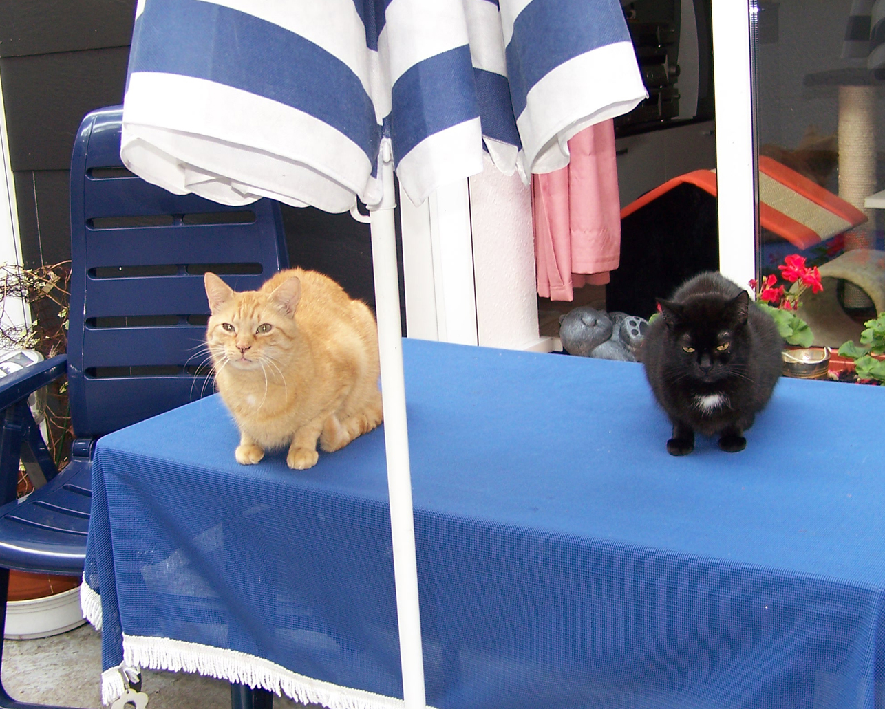0467 Oskar & Sissi 24-29-07-2007