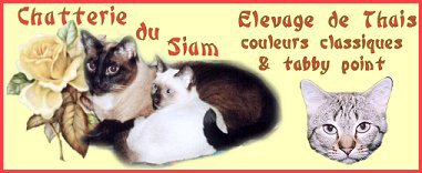 Chatterie du Siam