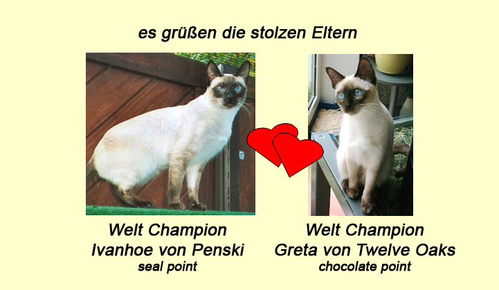 Eltern-Portrait Ivanhoe & Greta Wurf B