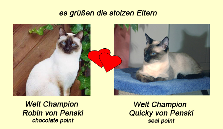 Eltern-Portrait Robin & Quicky Wurf A1