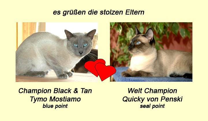 Eltern-Portrait Tymo & Quicky Wurf D