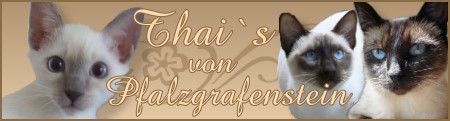 Pfalzgrafen