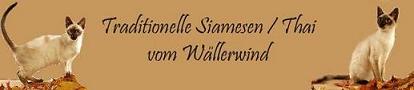 W�llerwind-Banner