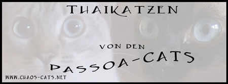 banner-Passoa-Cats