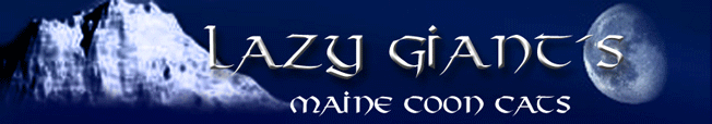 banner_lazy_giants