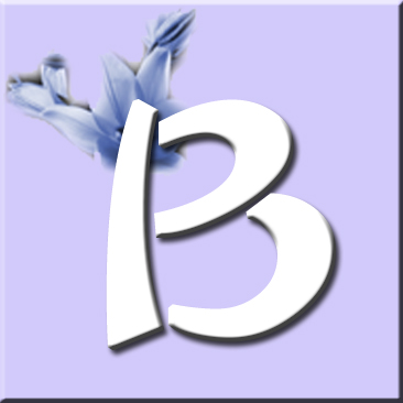 button_b_wurf