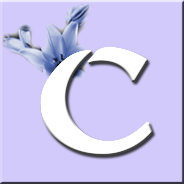 button_c_wurf