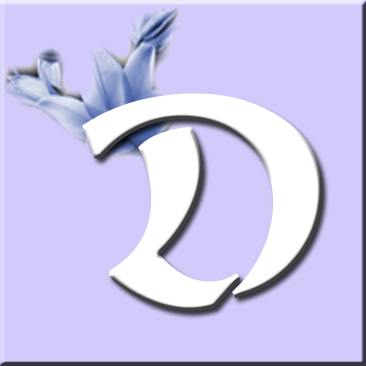 button_d_wurf