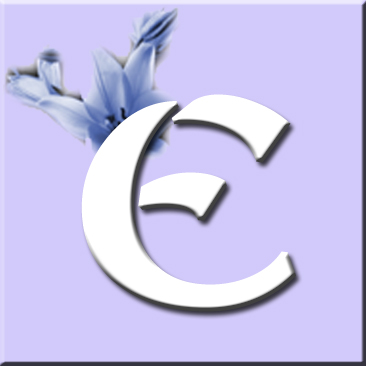 button_e_wurf