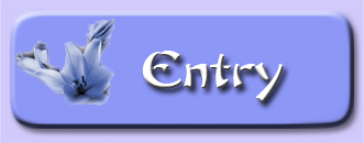 button_entry
