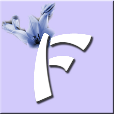 button_f_wurf