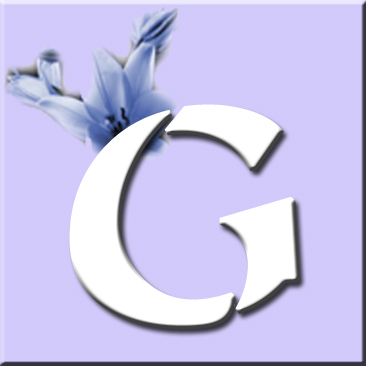button_g_wurf