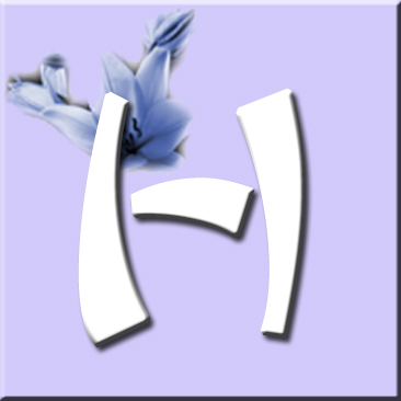 button_h_wurf