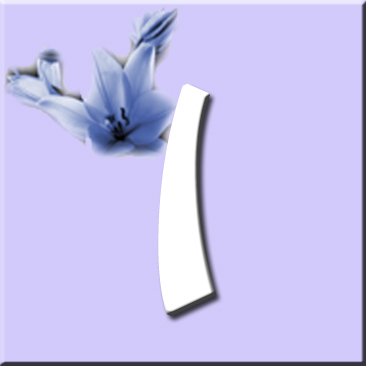 button_i_wurf