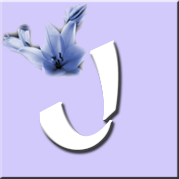 button_j_wurf