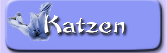 button_katzen