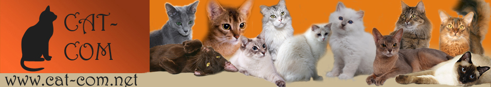 catcombanner2