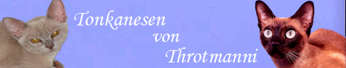 entwurf2
