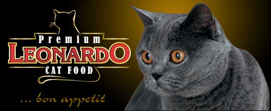 kopfgrafik1
