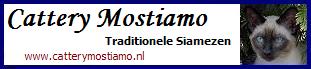 mostiamobanner
