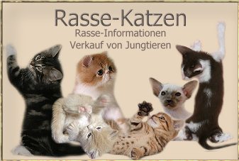 rassekatzen