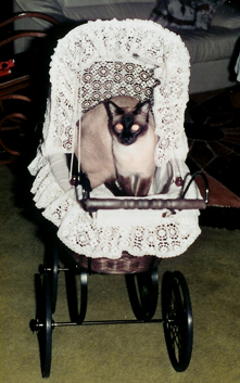 siam_puppenwagen-1